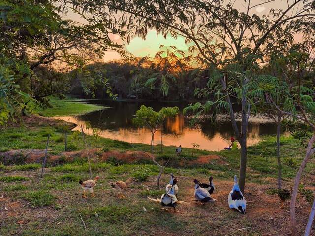 #248 - Terreno para Venda em Elias Fausto - SP