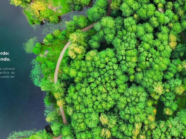 #274 - Área para Venda em Monte Mor - SP