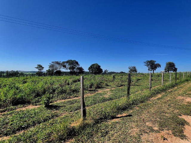 #284 - Chácara para Venda em Elias Fausto - SP