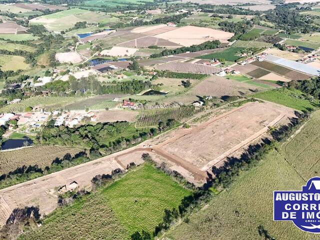 #293 - Área para Venda em Elias Fausto - SP